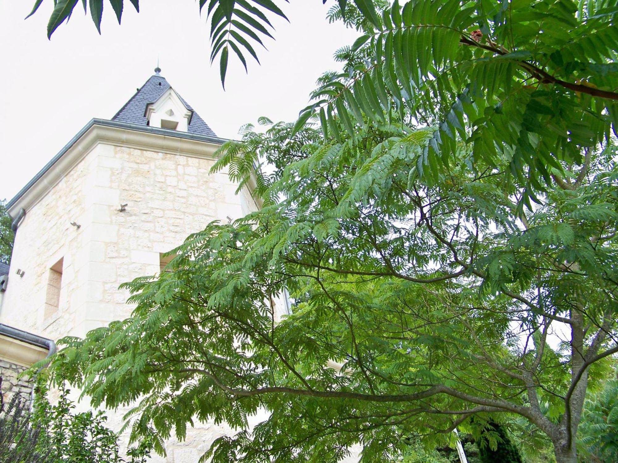 Hotel Logis Troglododo